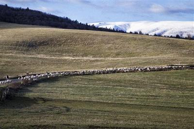 "Virtù, pratiques vertueuses en agriculture paysanne"Exposition... Du 1/11/2024 au 16/5/2025