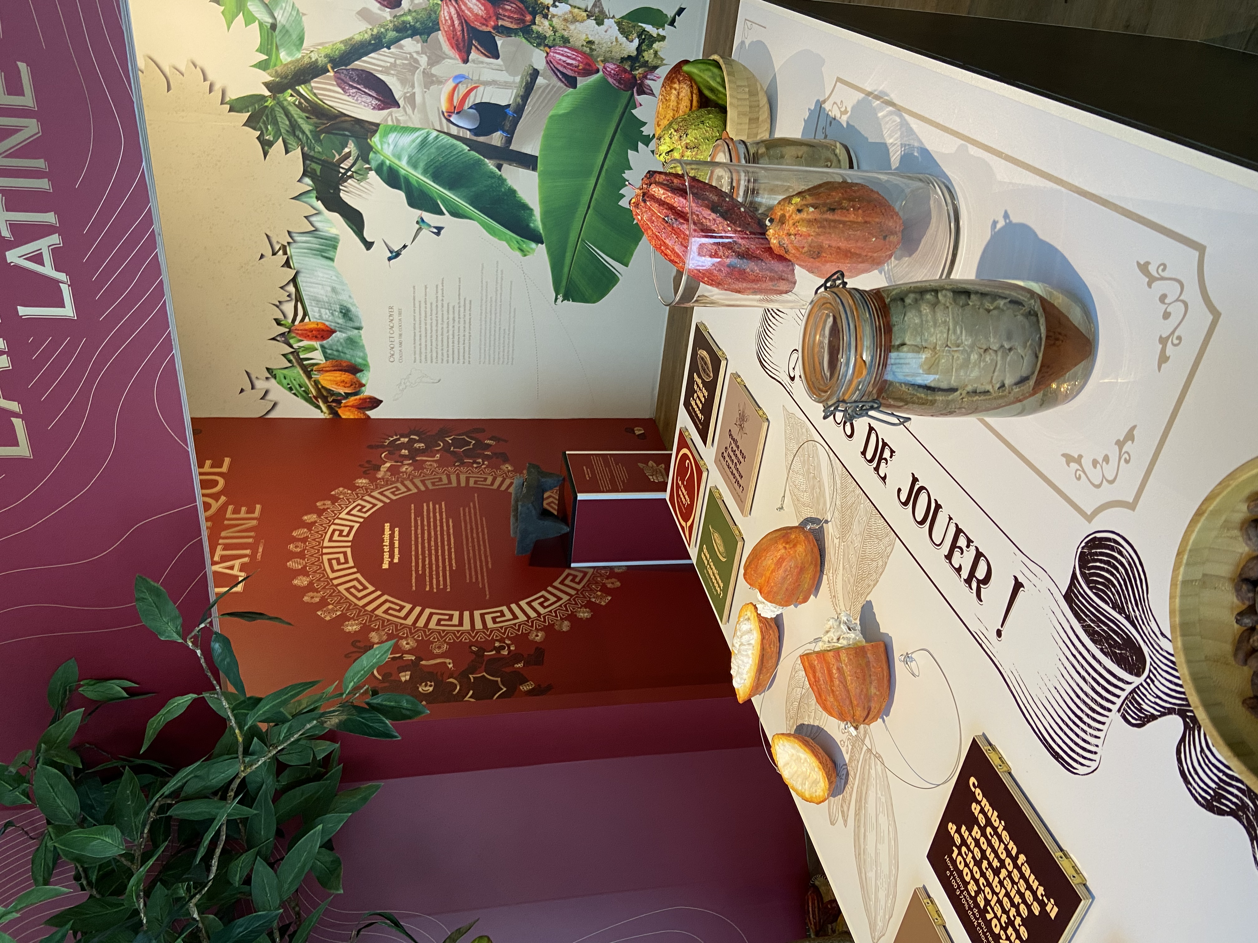 L'EXTRAORDINAIRE VOYAGE DU CHOCOLAT - FECAMP