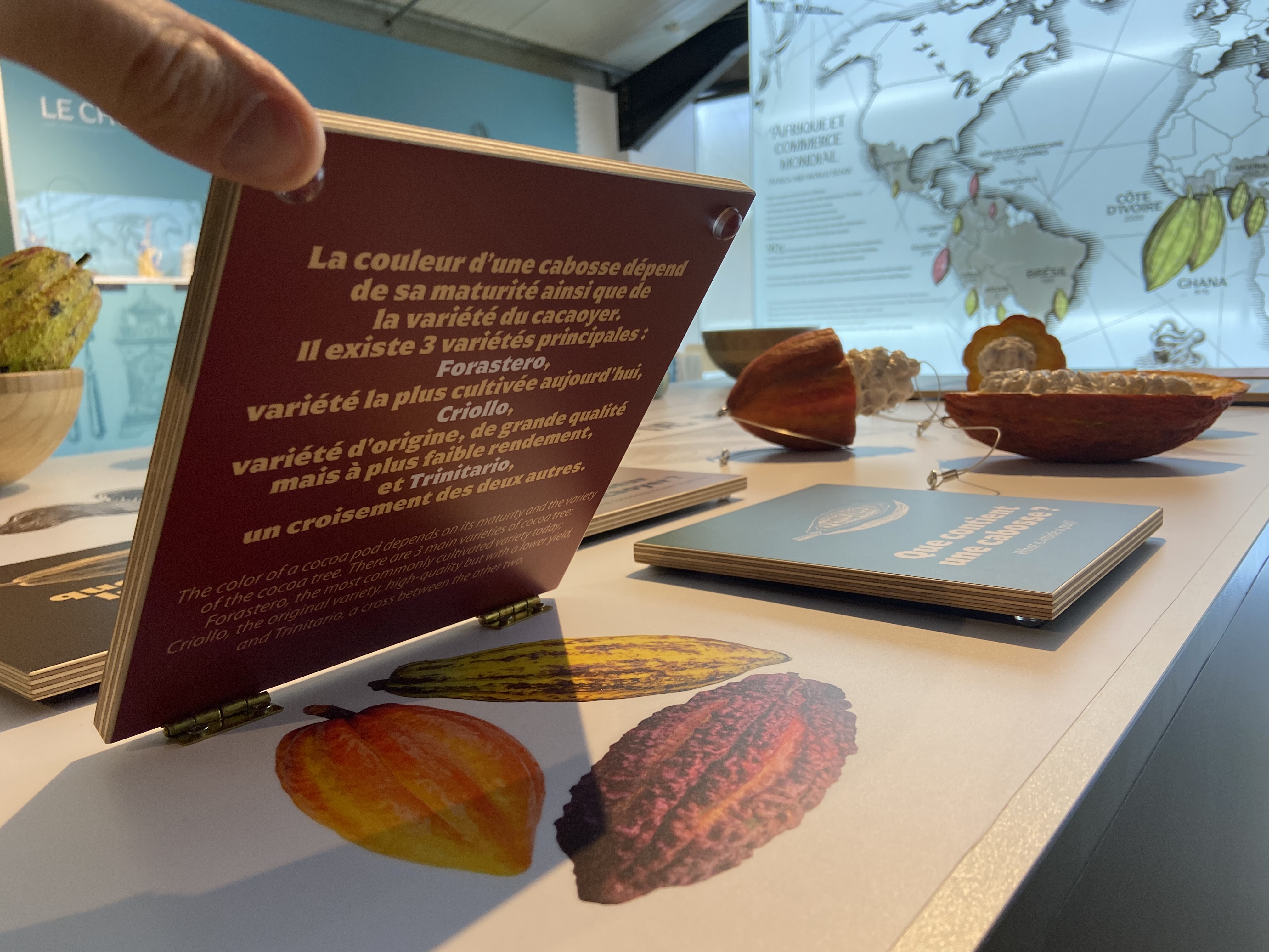L'EXTRAORDINAIRE VOYAGE DU CHOCOLAT - FECAMP
