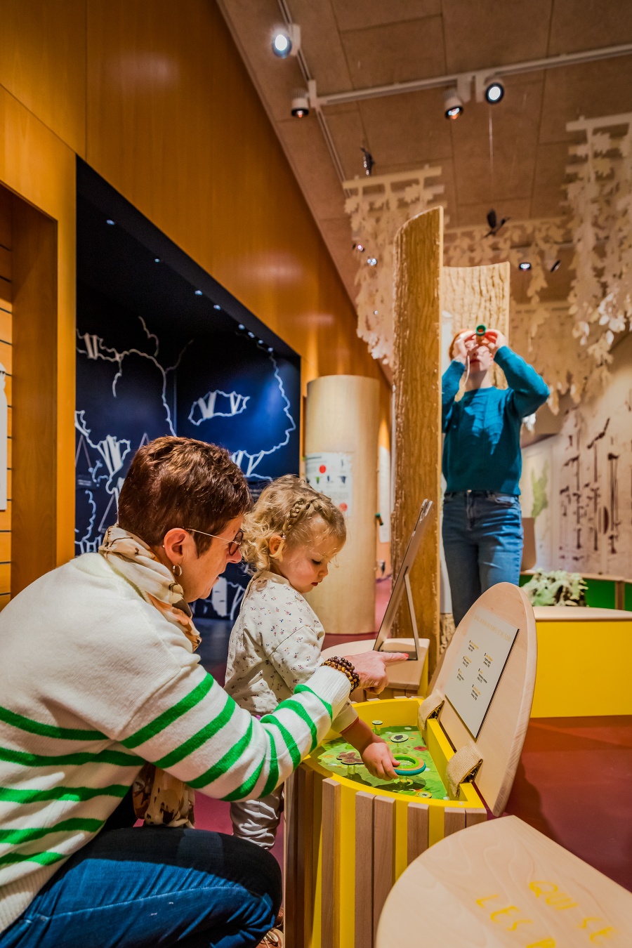 Maison de la Forêt - Office de Tourisme d'Isigny-Omaha