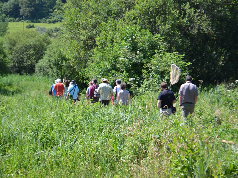 Le Marais des Communaux - photo 5
