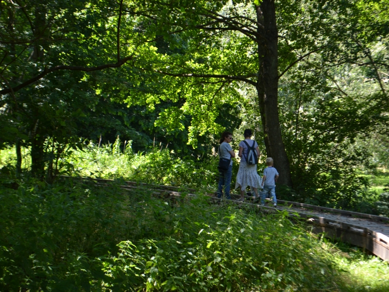 Le Marais des Communaux - photo 2