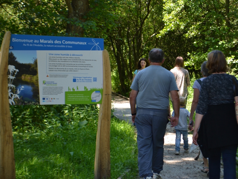 Le Marais des Communaux - photo 4