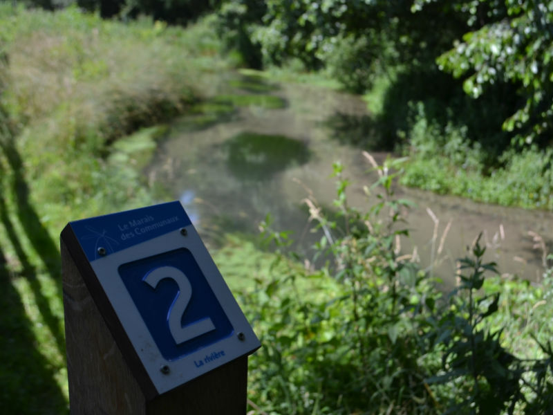 Le Marais des Communaux - photo 7
