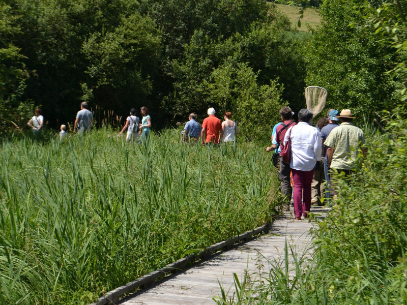 Le Marais des Communaux