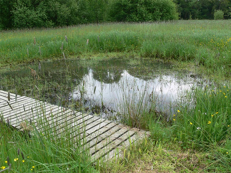 © CD 61 Etang du Perron
