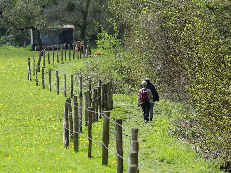 © C Aubert Les Méandres de l'Orne