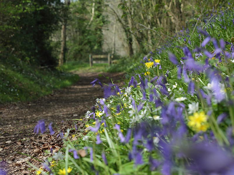 © C Aubert Les Méandres de l'Orne