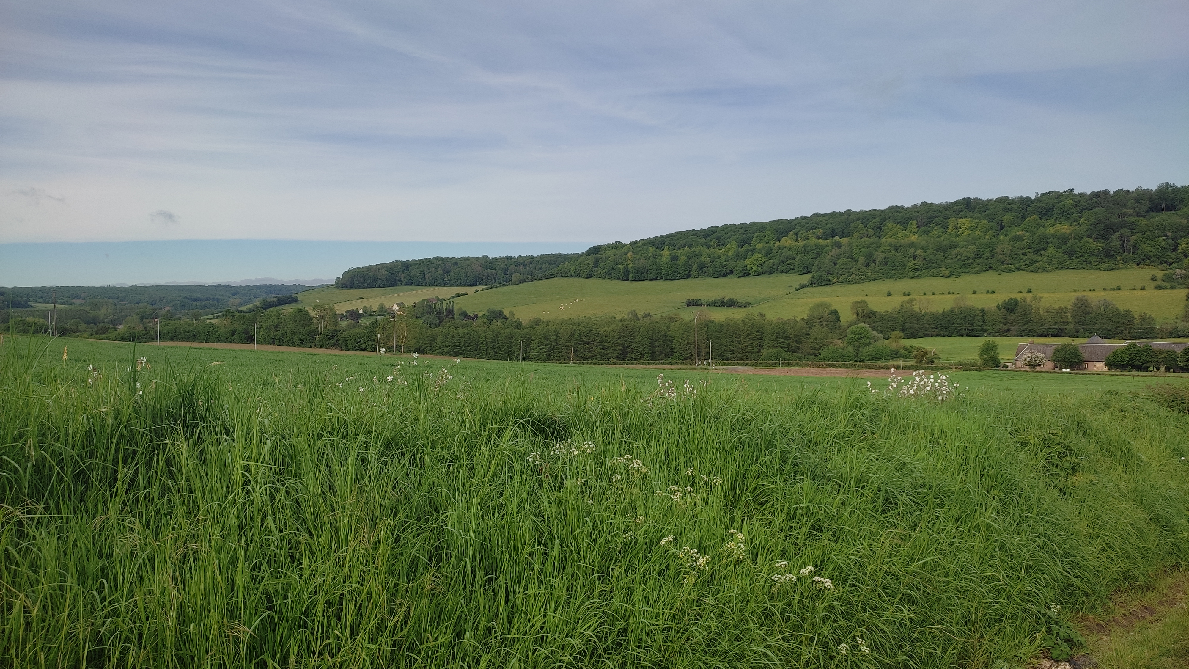 Montagny en vue