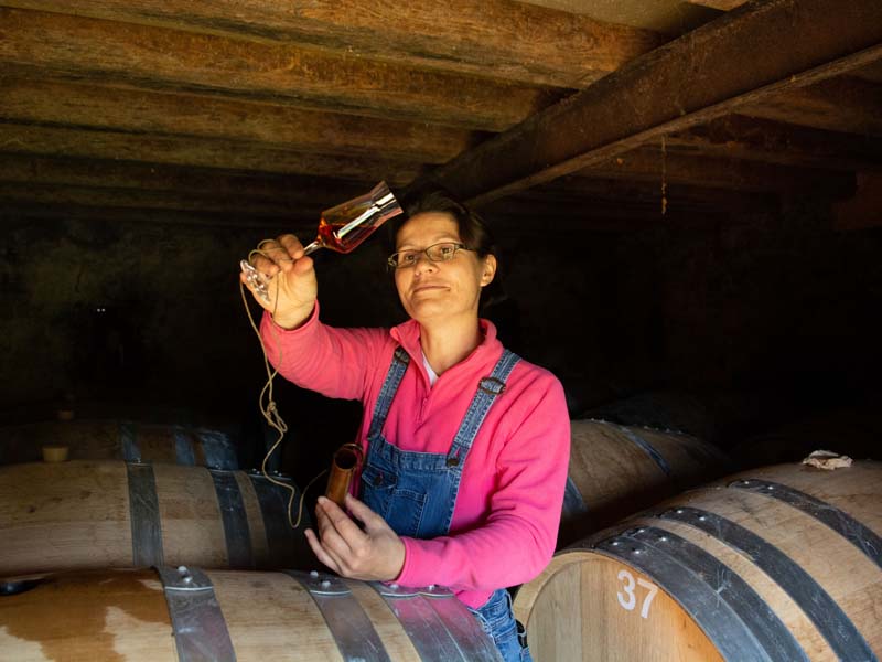 ©David Commenchal Vergers de la Morinière - La Fresnaie Fayel