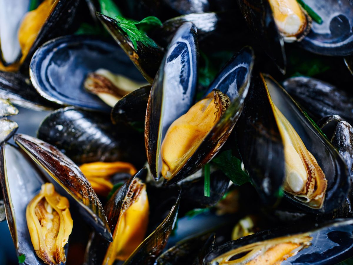 Concert : Duo Fusion + moules frites