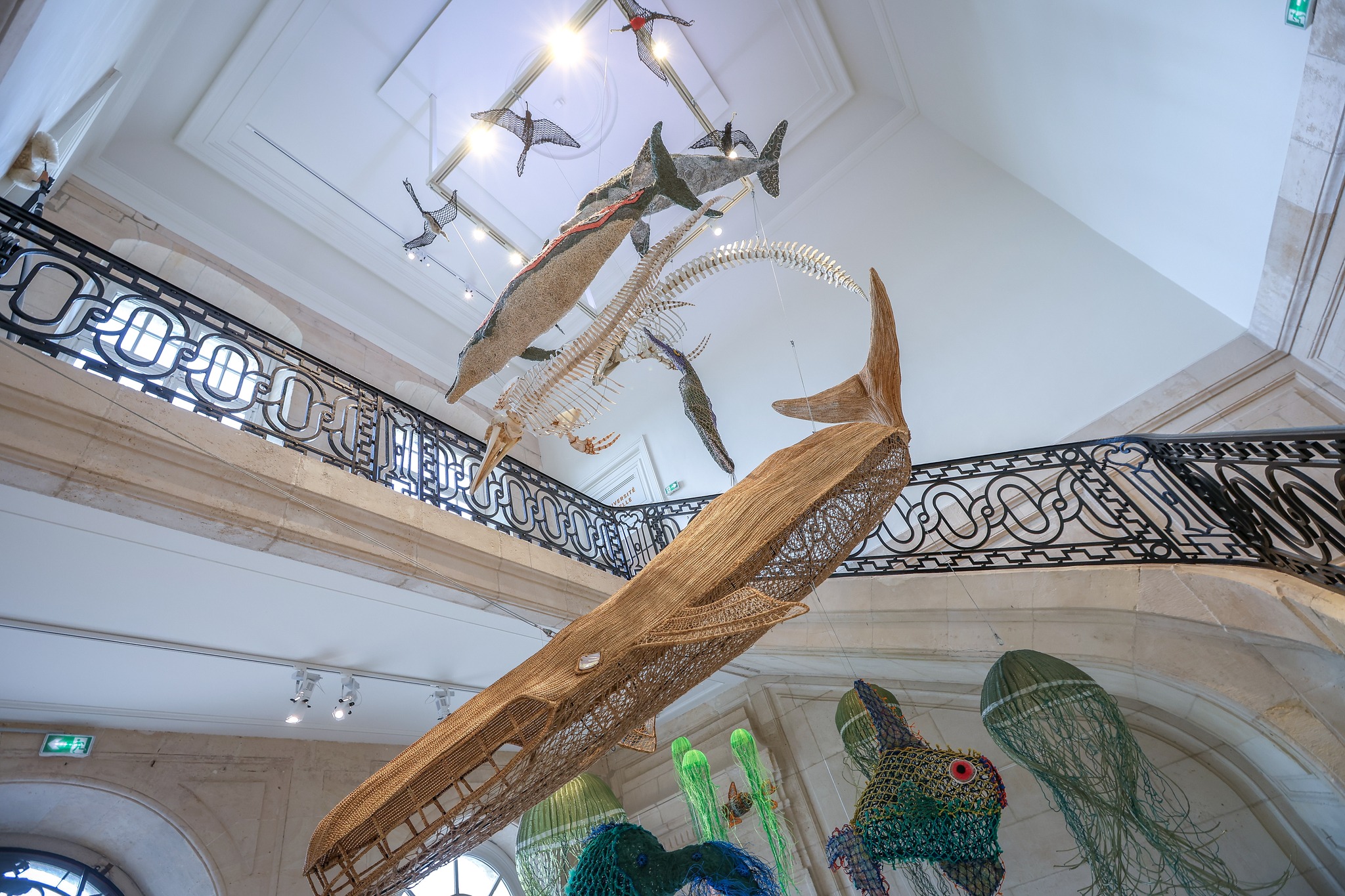 Muséum d'histoire naturelle du Havre - ©Philippe Bréard (3)