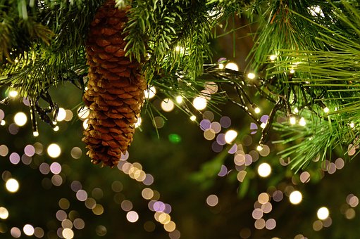 Noel-66 Pixabay Noel-66