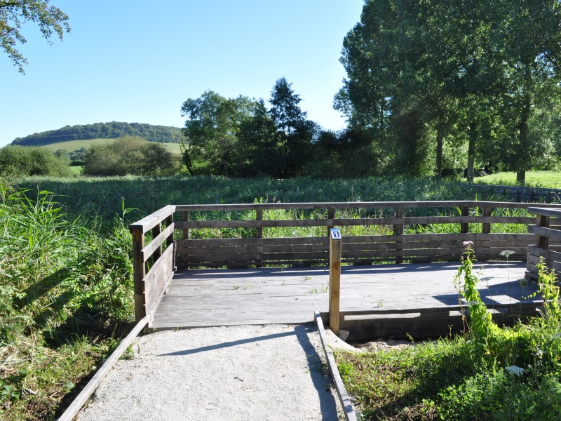 Roselière de Normanville - photo 2