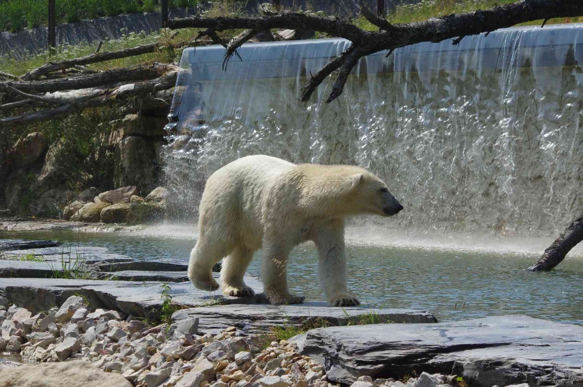 Parc Zoologique Cerza