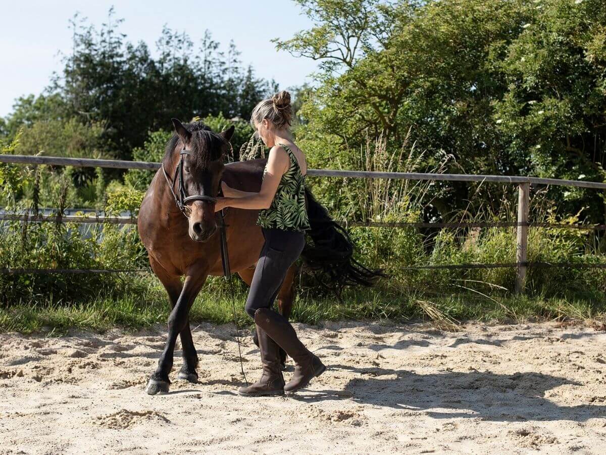 Equidays : A la découverte du cheval à travers le travail à pied