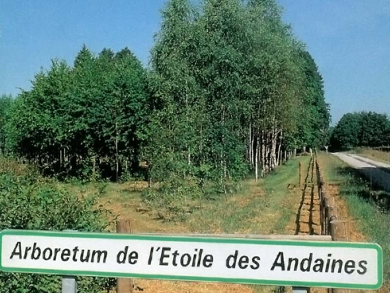 © ONF Arboretum de l'Etoile d'Andaine