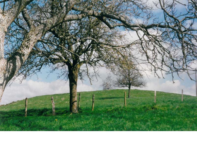 Motte castrale du Châtellier - Rémalard © Motte castrale du Châtellier Motte castrale du Châtellier - Rémalard