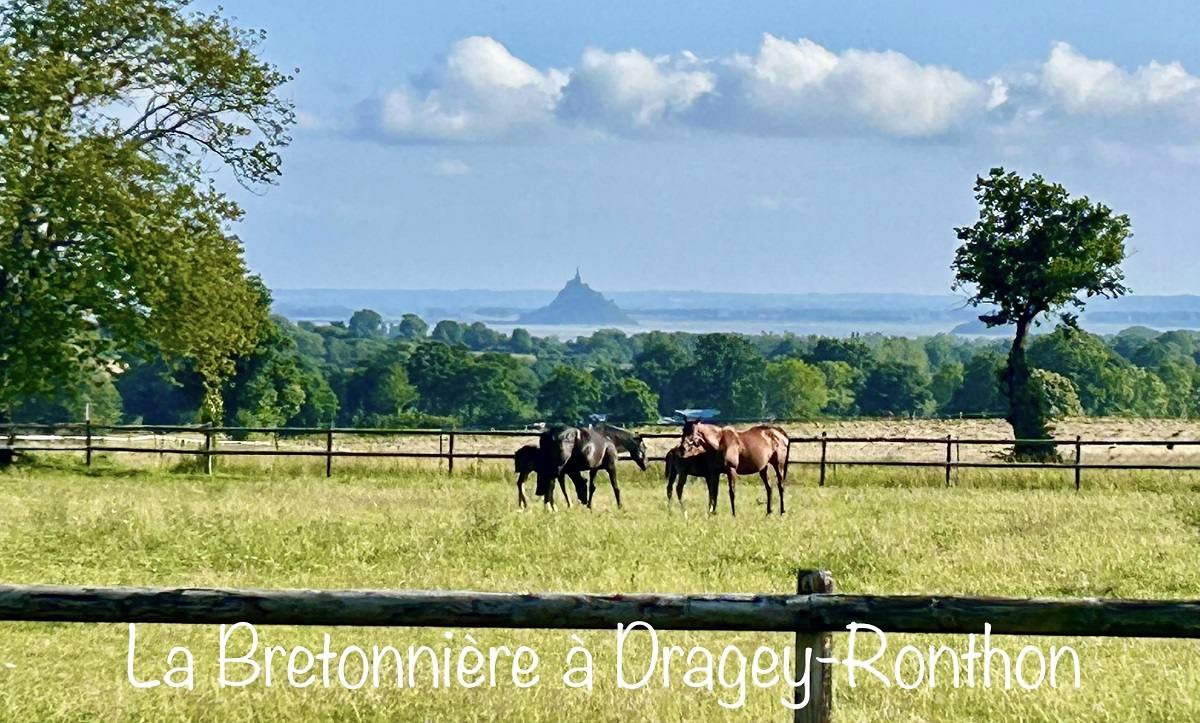 Maison d’hôtes Chambres d'hôtes > La Bretonnière à Dragey-Ronthon
