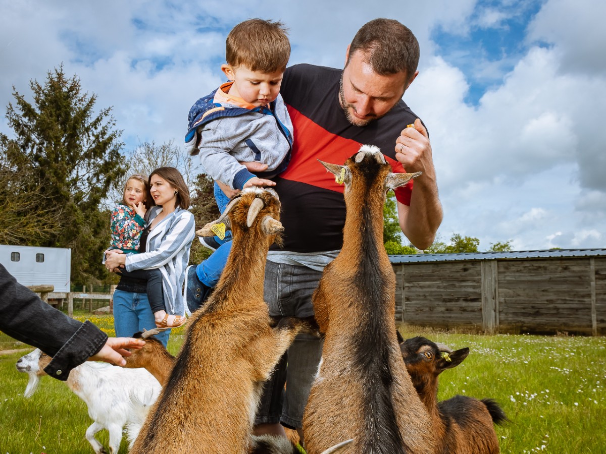 Parc de la Sauvagette Chèvres 2 Lanquetot Caux Seine Normandie Tourisme