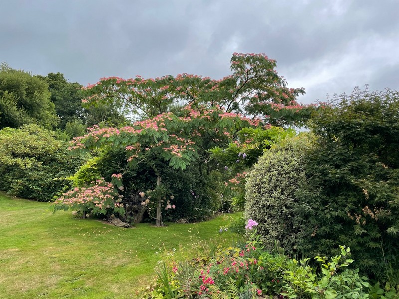 Le Jardin caché