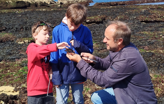 L'Explorateur : Les rendez-vous famille - Pêche à pied