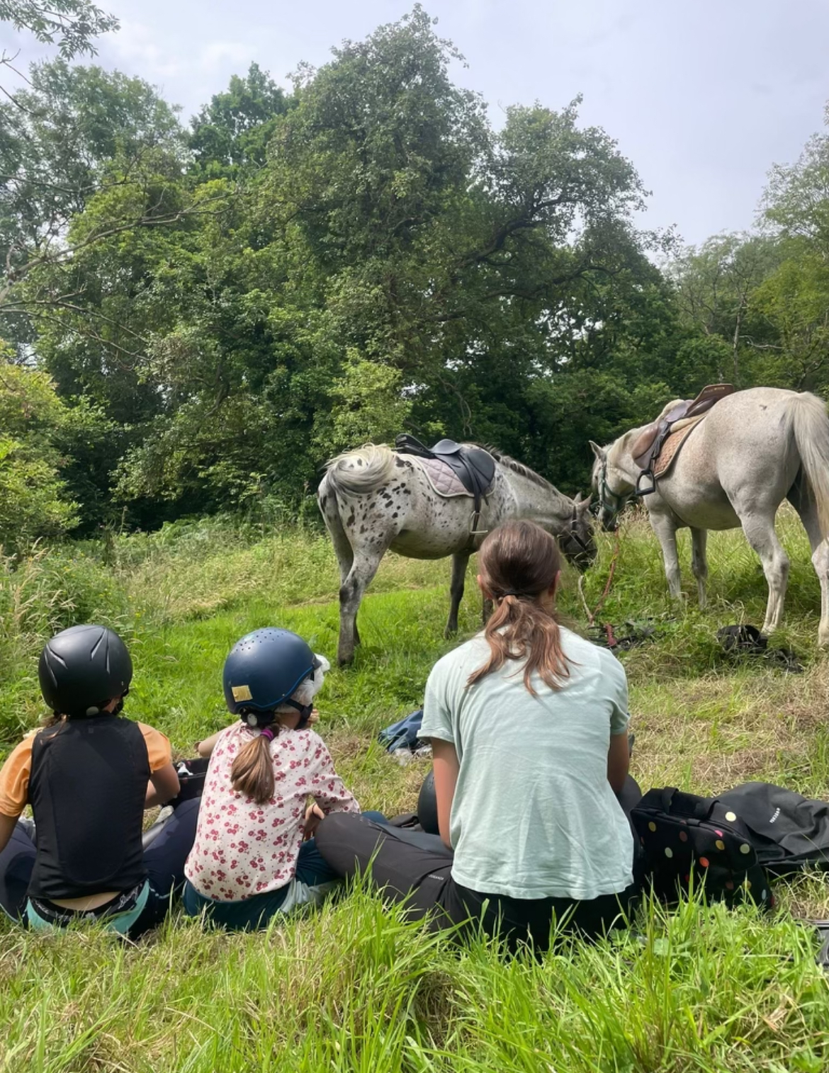 Centre equestre Le Domaine de Capucine