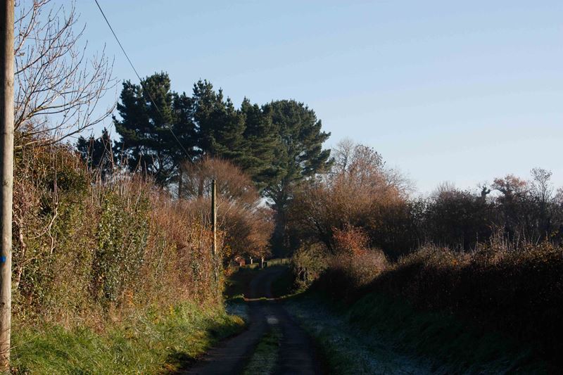 Promenade du CAUE "des arbres conteurs"