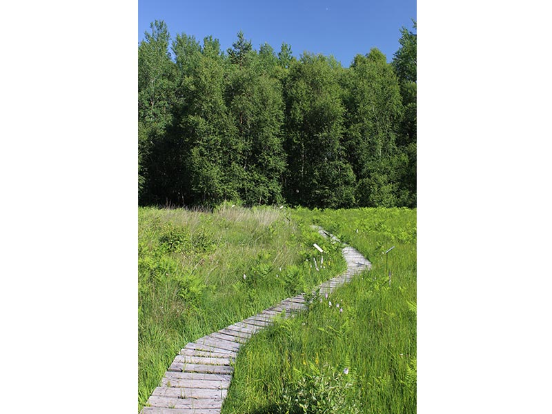 © JE Rubio Les Petits Riaux