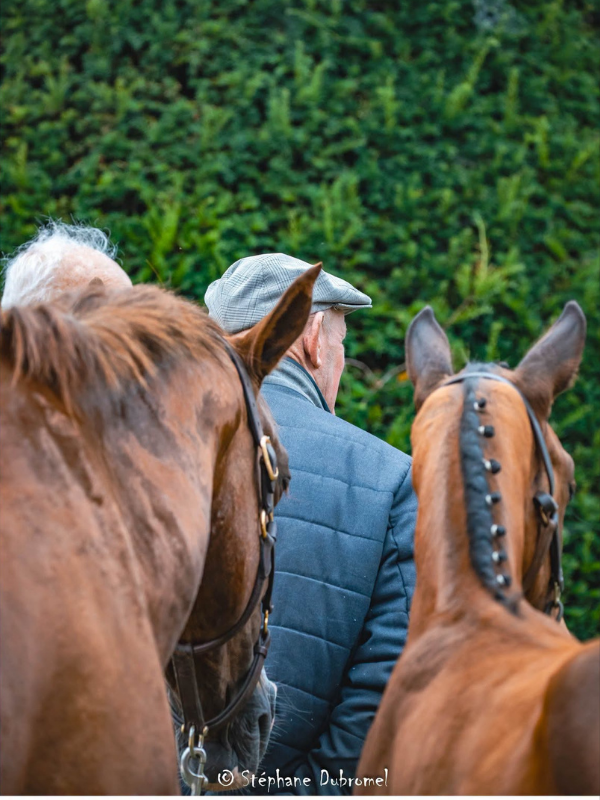 Foire aux foals
