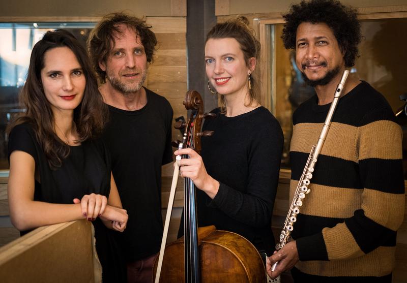 Quatuor-Insolite-Shaan PNRNM Quatuor-Insolite-Shaan