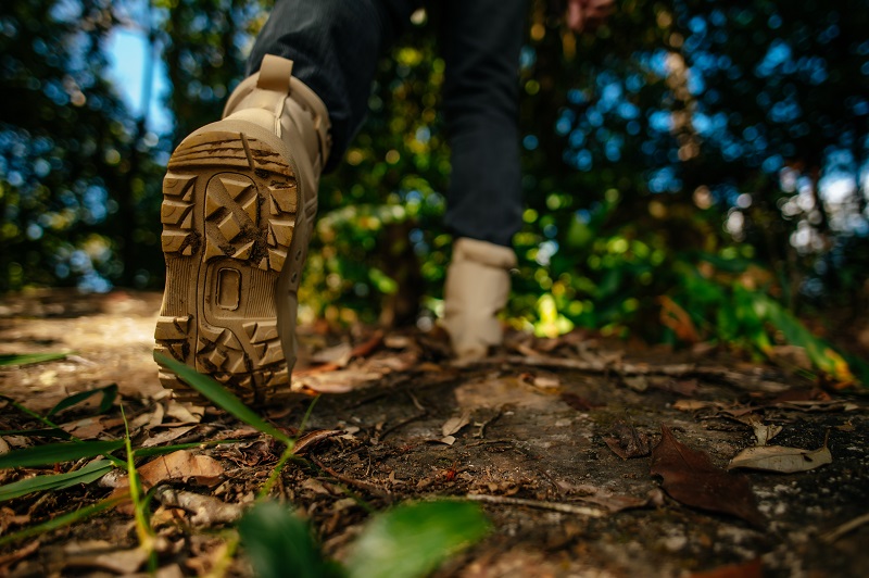 Close up shoes of Hiker walking in the forest Trail