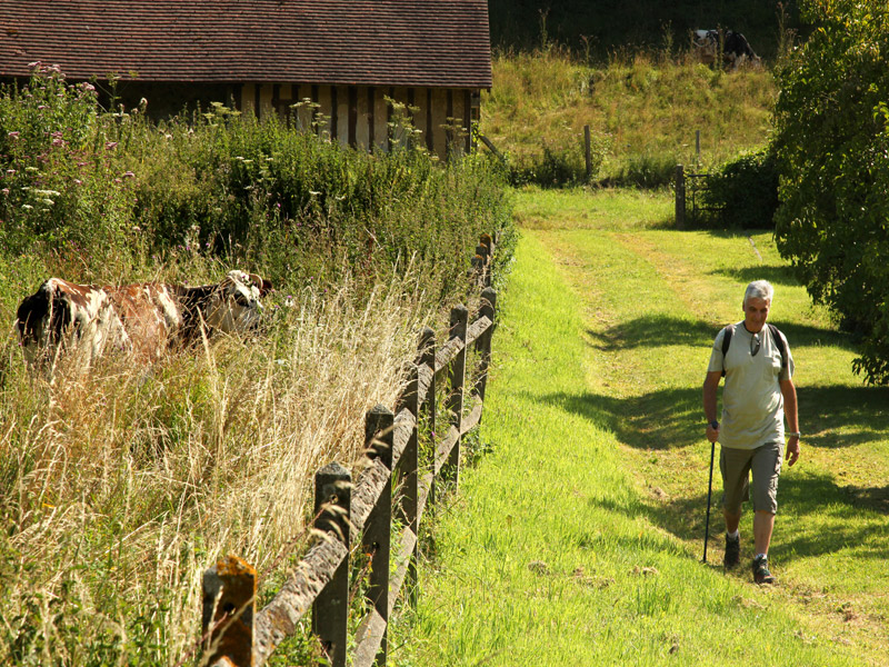 AUQUAINVILLE : La boucle Saint-Aubin - 5,8KM