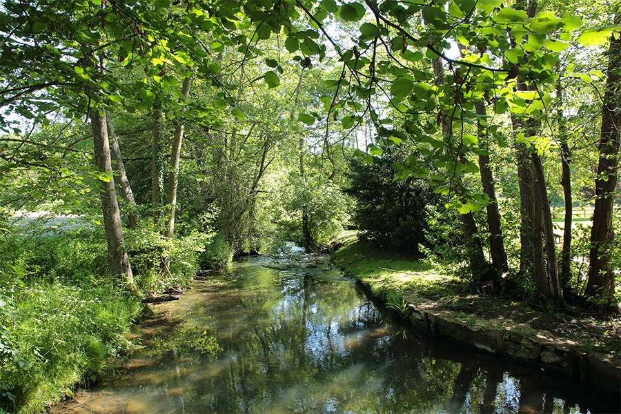 C. Aubert Résurgence Guiel La Ferté en Ouche