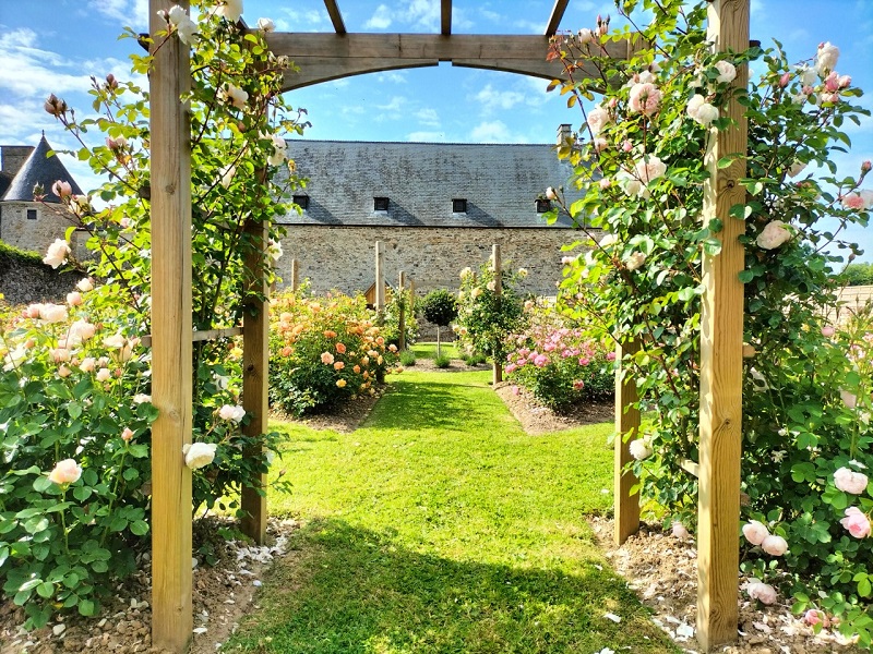 Roseraie "David Austin" du Château de Montfort