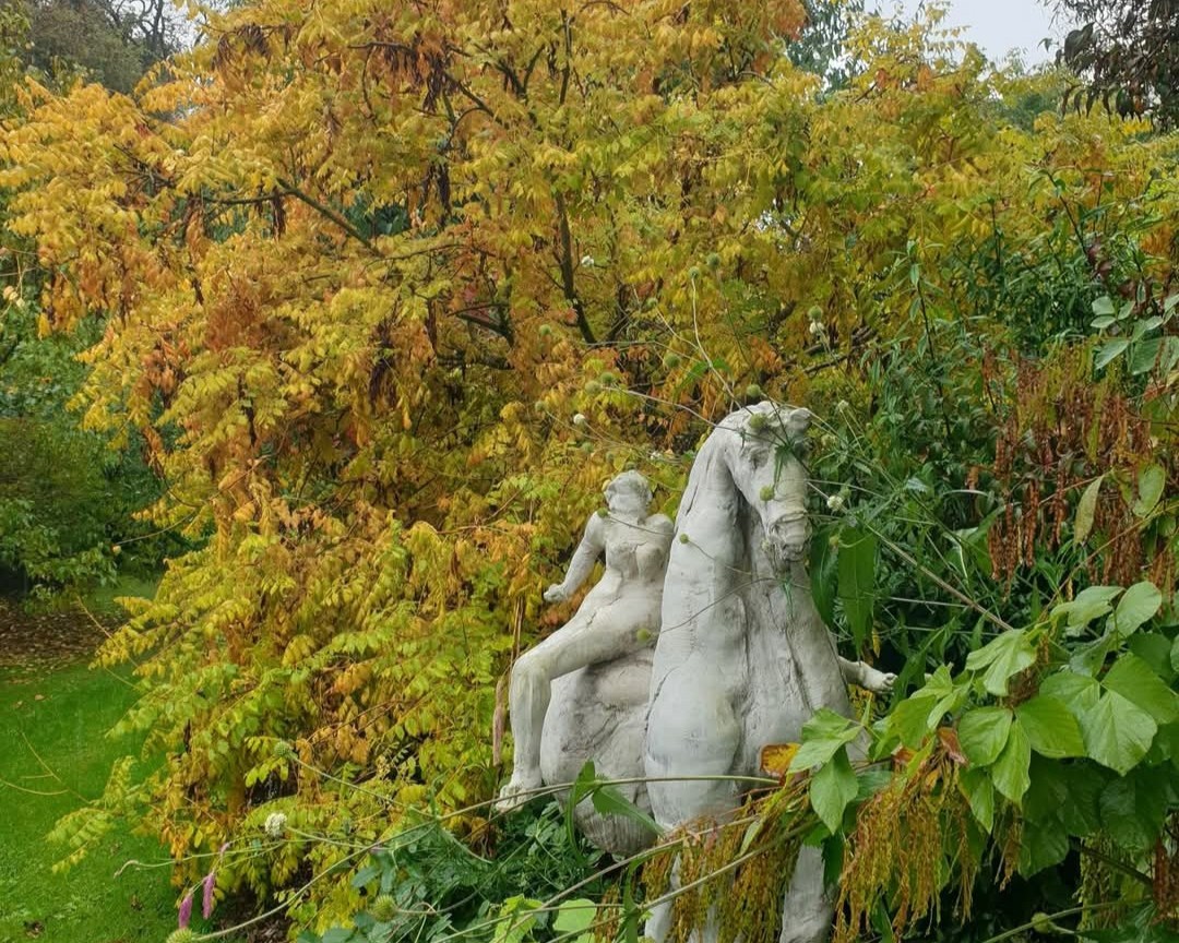 Le Jardin Habité de Saint Georges