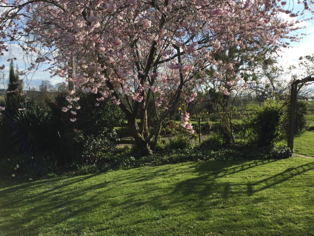 Le Cottage Normand