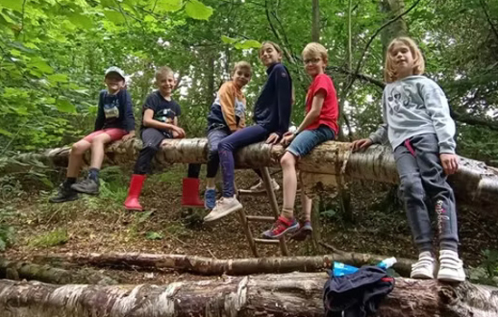 Stage nature : Aventurier en herbe