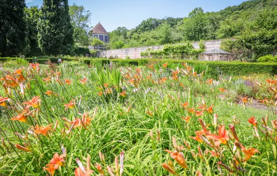 Les quatre saisons du parc de Rouelles
