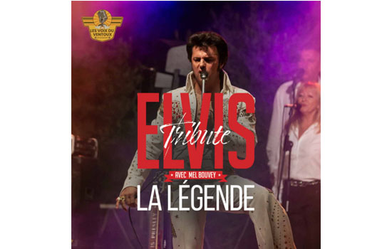 Musique : Elvis La Légende