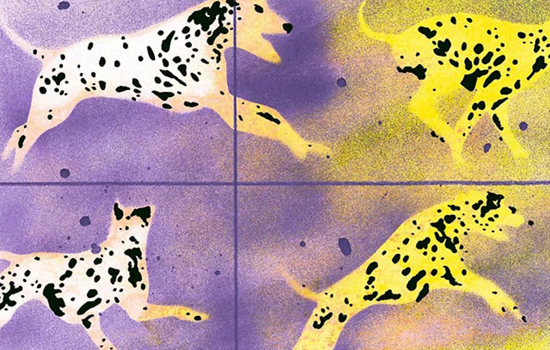 Exposition : Excédé·e, la case