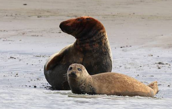 Visite : Entre port et nature