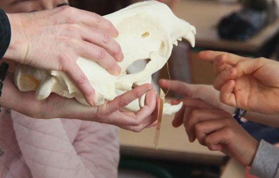 Atelier : Cric Crac Croc