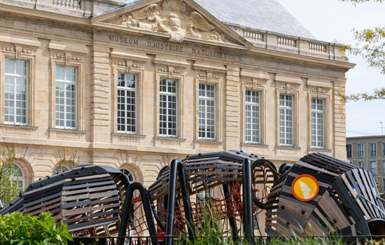 Visite guidée : Du tribunal au muséum d’histoire naturelle