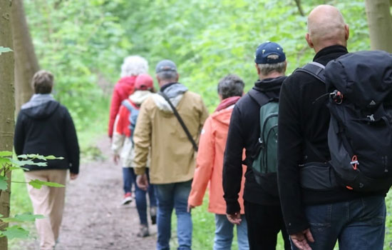 Sortie nature : Chant nature pour tous