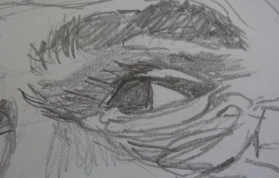 Sans titre-1