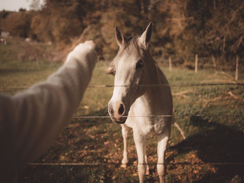 © SLOOWLI Sloowli-Colonard