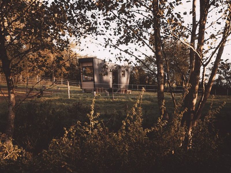 © SLOOWLI Sloowli-Colonard