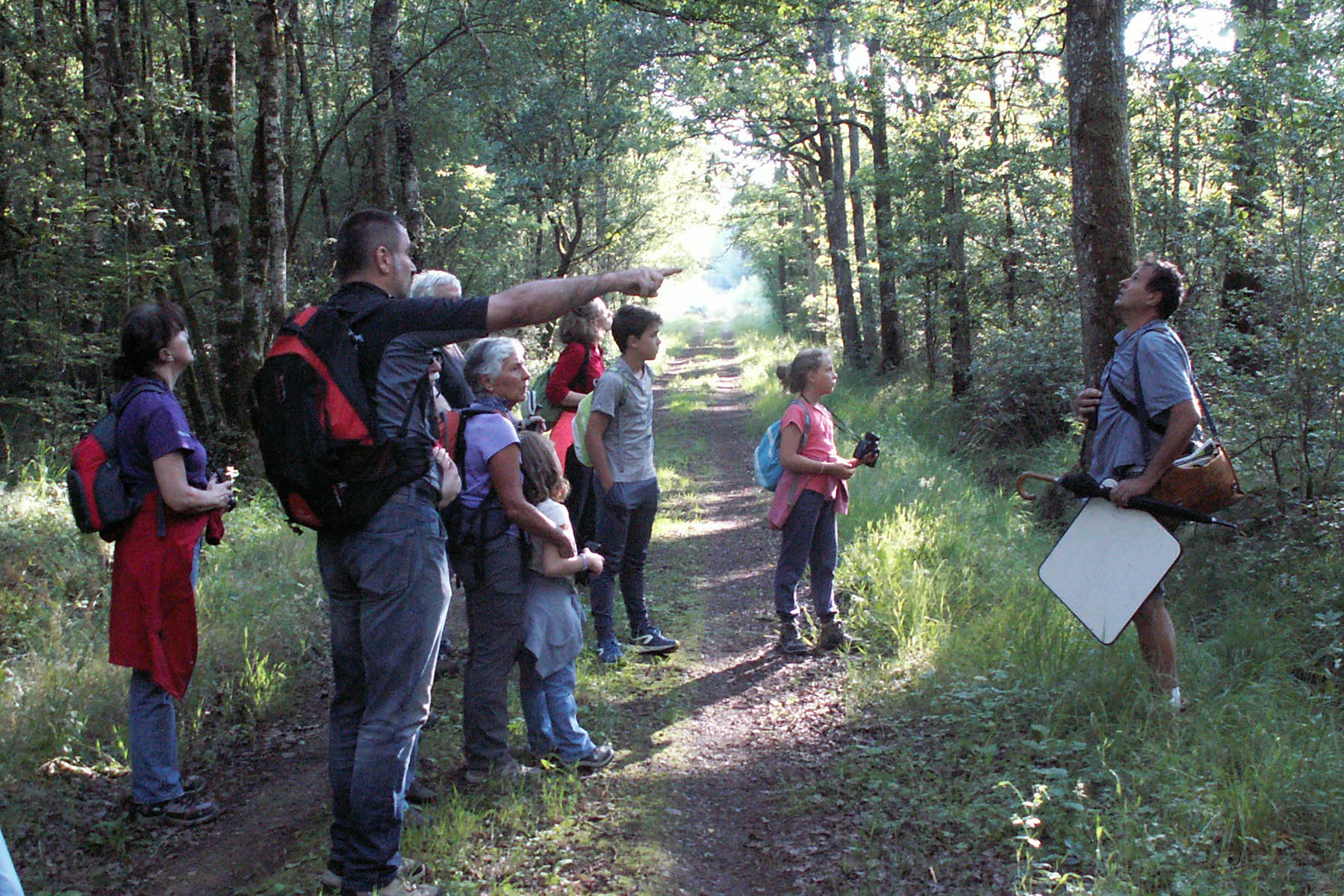 Sortie forêt PNRP Sortie forêt