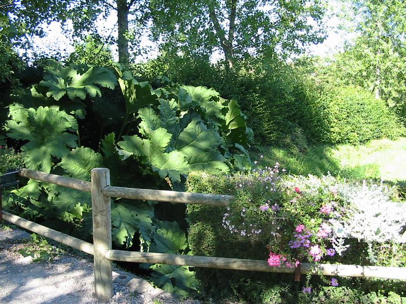 Camping municipal Le Vieux Château